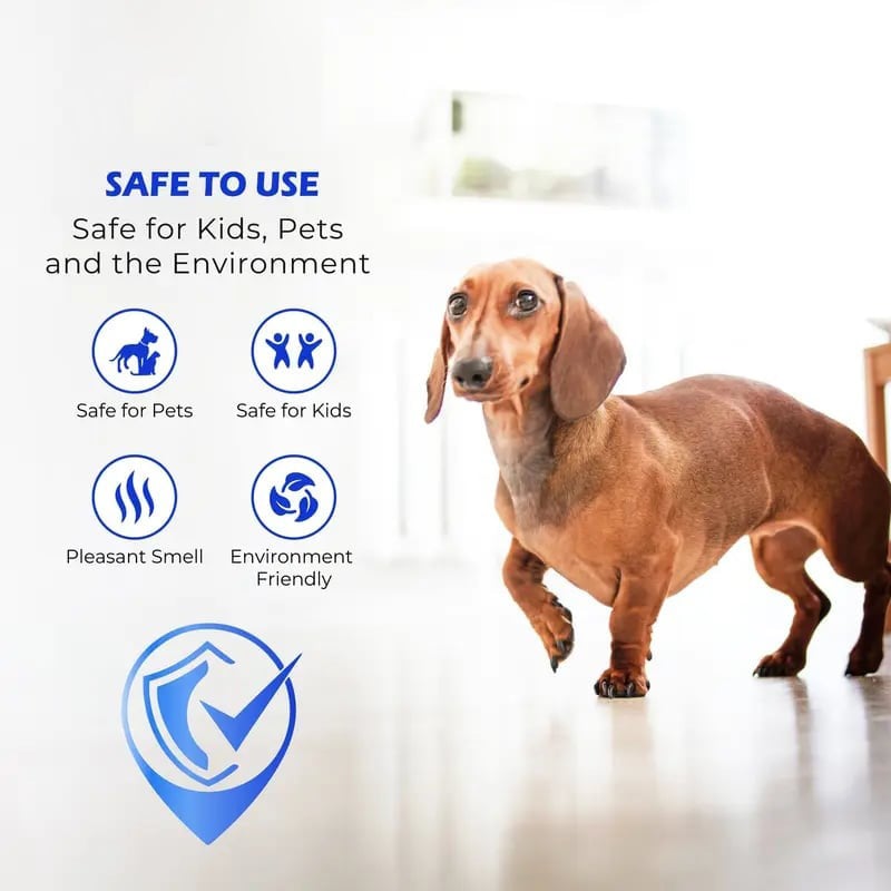 🔥Last Day 49% OFF - ✨🧴 Clean-llx Floor Restorer – Shine & Protect Instantly 🏠