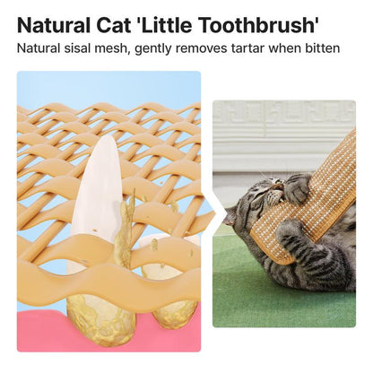 🔥 🐱Interactive Catnip Chew Toy